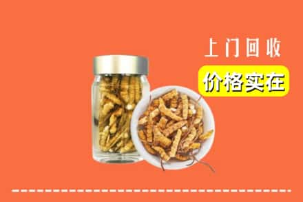 收购资讯:商洛回收散虫草
