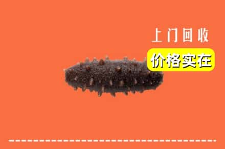 收购资讯:商洛回收海参